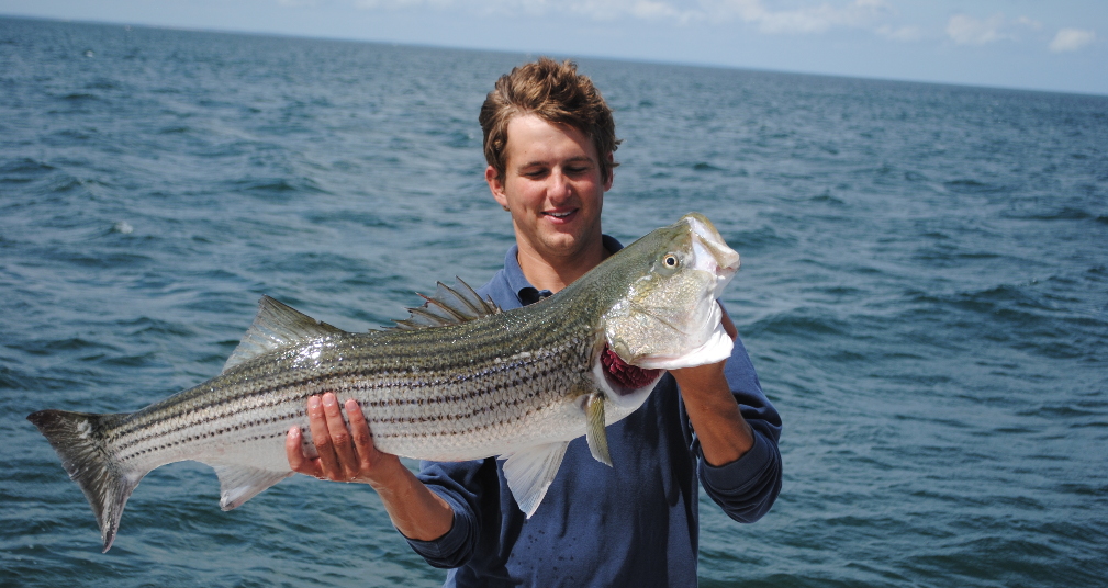 8 Hour Striped Bass Fishing Charter on Cape Cod